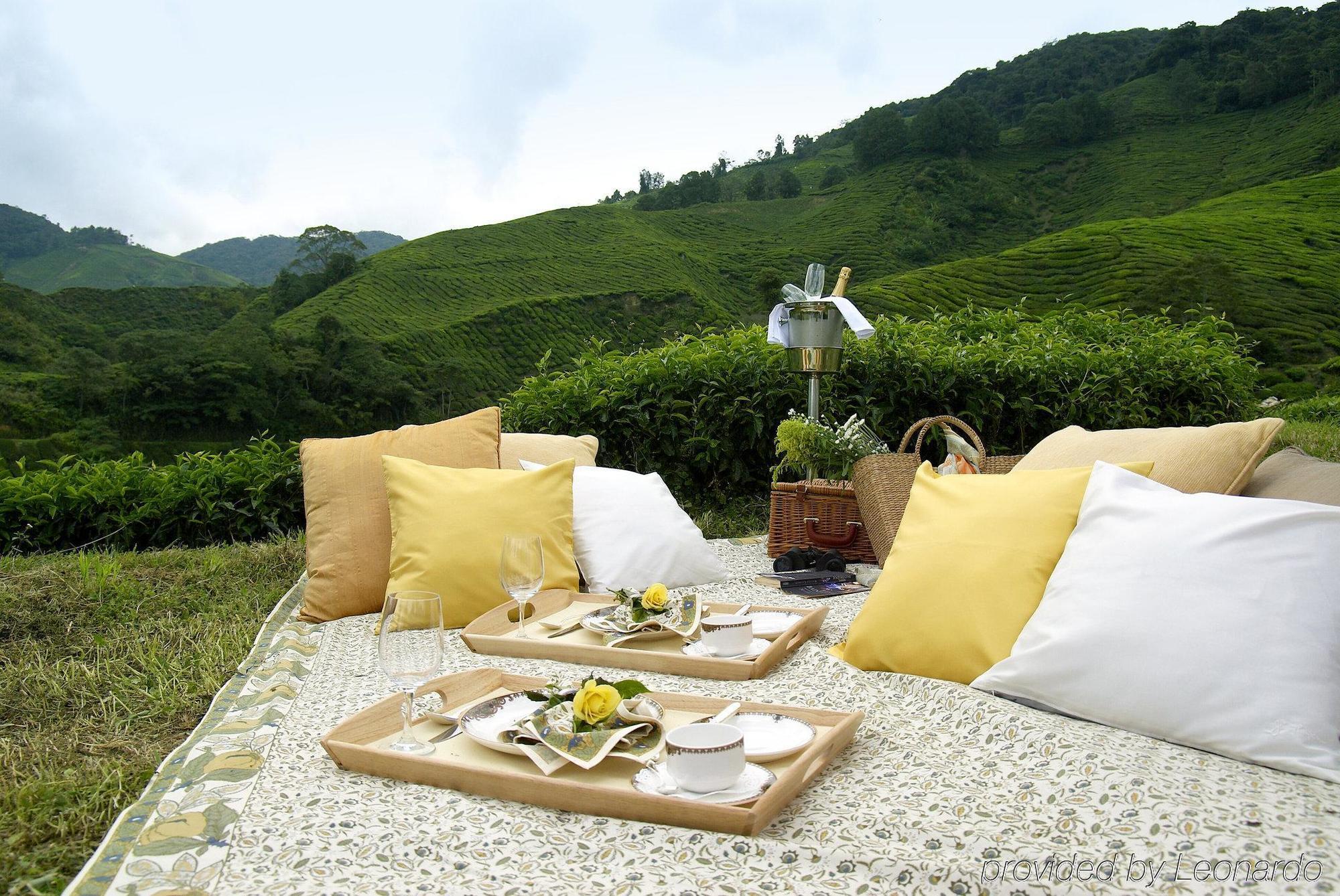 Cameron Highlands Resort - Small Luxury Hotels Of The World ห้อง รูปภาพ A picnic in the hills of Darjeeling
